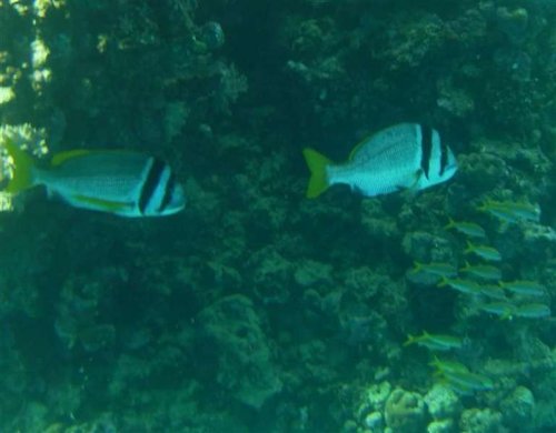 PIC_0401 (Medium).JPG