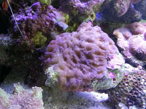 20131212_130558.jpg