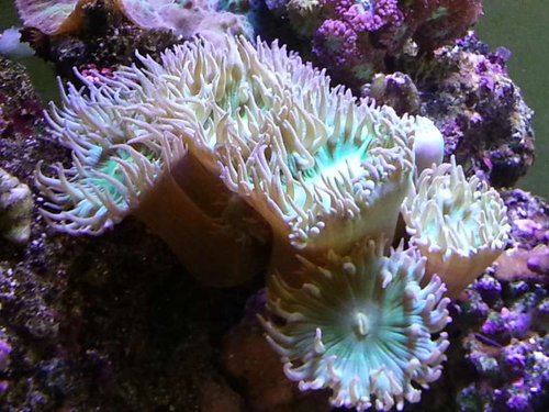 20131212_130609.jpg
