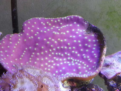 20131212_130622.jpg