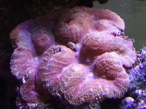 20131212_130630.jpg