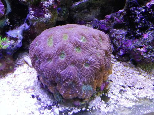 20131212_130653.jpg