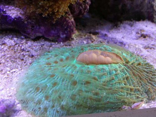 20131212_130712.jpg