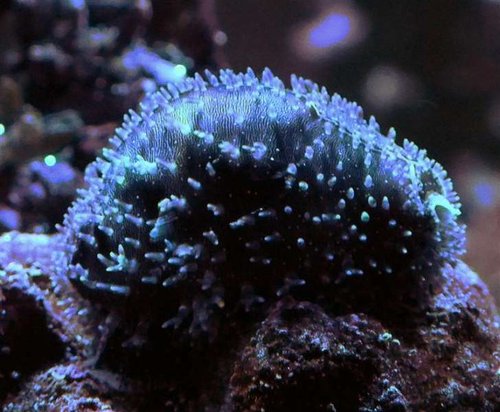 DSCF9257 (Medium).jpg