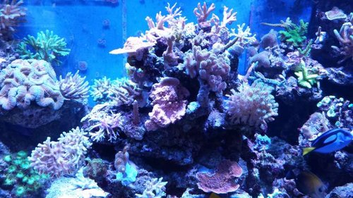 20131214_122350.jpg