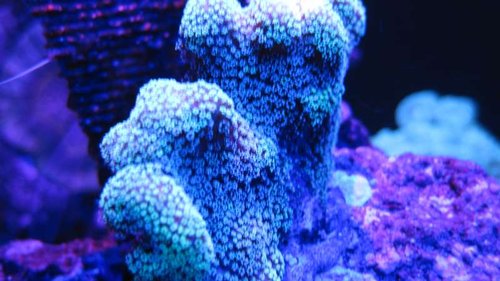 IMG_6378.JPG