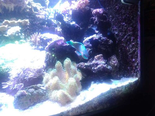 P_20131222_143803.jpg