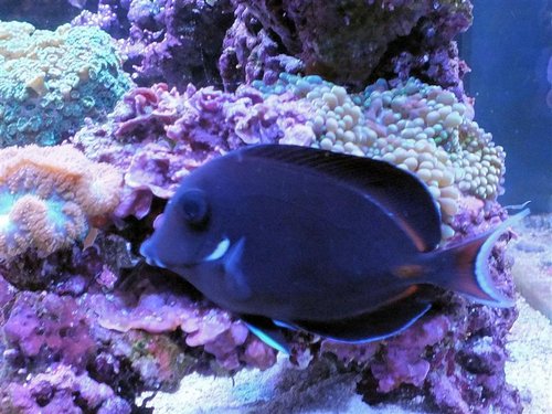 DSCF9364 (Medium).jpg