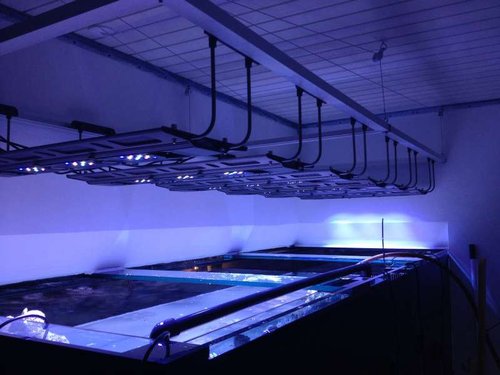 6 stk. http://www.decocean.dk/shop/p/1897