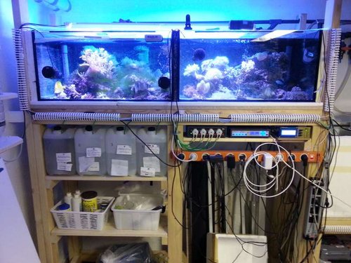 2 stk. på 160 L, Balling i 10 L dunke, GHL dosering, GHL computer med temmelig meget ekstra udstyr og en DIY computer til styring af kalkreaktor og muligvis tunze 6100.10'erne (så har jeg 100% kontrol).