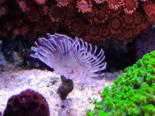 DSCF9392 (Medium).jpg