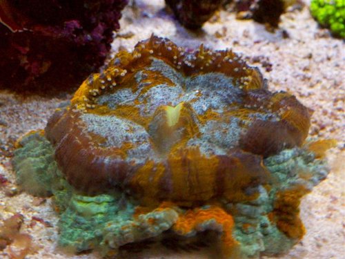 DSCF9294b (Medium).jpg