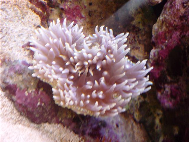 DSC00075 (Small).JPG