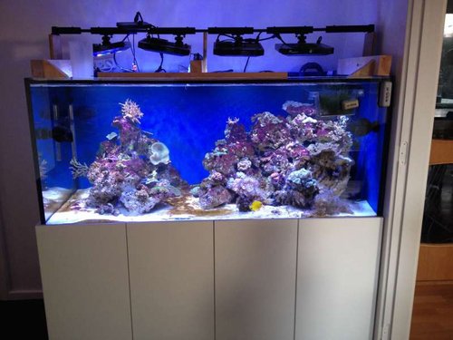 FTS