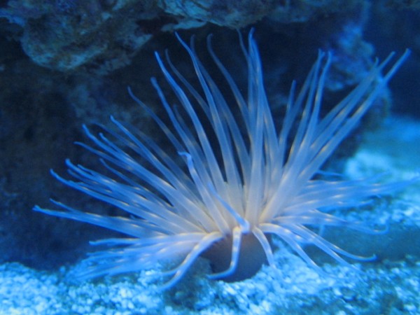 IMG_0451 (600 x 450).jpg