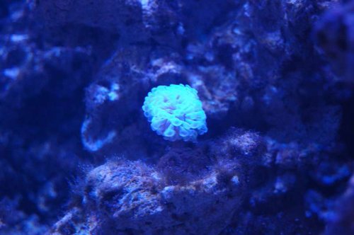 DSC_5012.JPG
