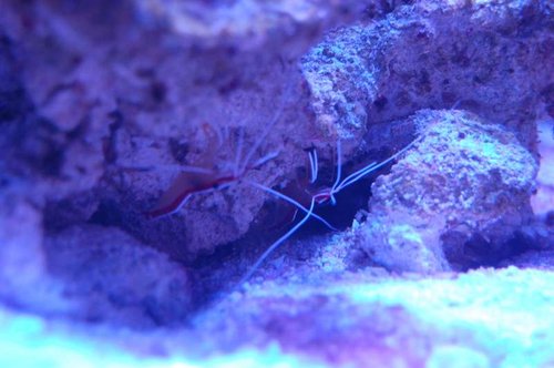 DSC_5007.JPG