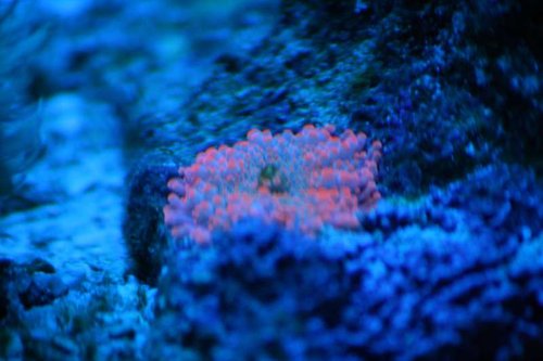 IMG_2255.JPG
