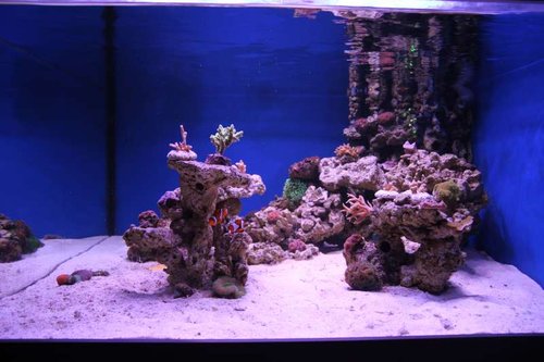 IMG_7650.JPG (45.81 KiB) Vist 1962 gange full tank shot