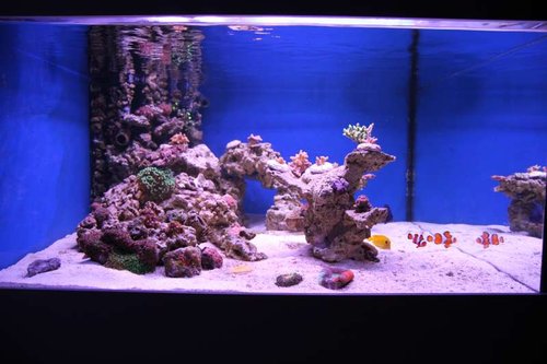 IMG_7655.JPG (44.36 KiB) Vist 1974 gange Full tank shot