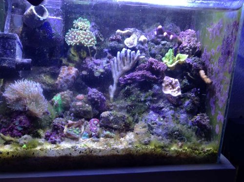 FTS i dagslys