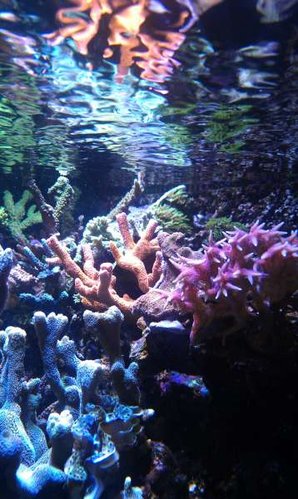 IMAG0479.jpg