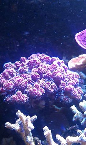 IMAG0487.jpg