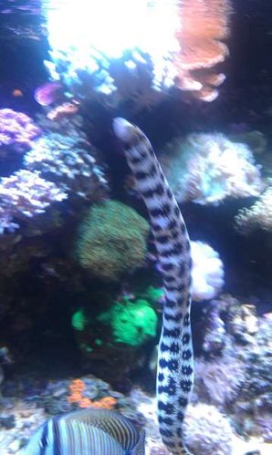 IMAG0509.jpg
