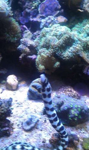 IMAG0508.jpg