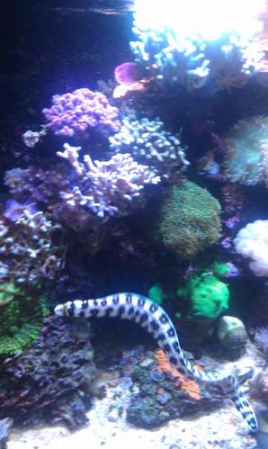 IMAG0496.jpg