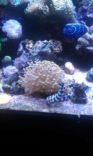 IMAG0495.jpg