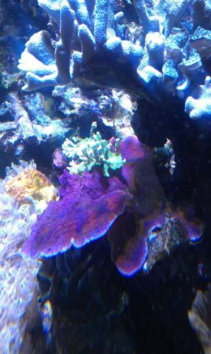 IMAG0482.jpg