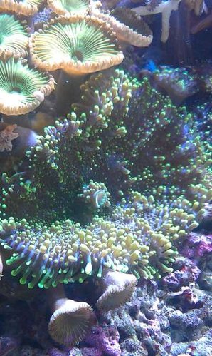 IMAG0488.jpg
