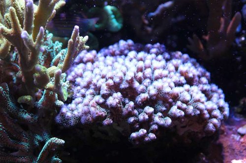IMG_2366.JPG