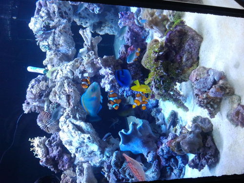 2014-01-23 09.08.22.jpg