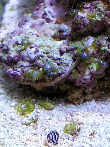 IMG_20140128_195728.jpg