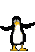 :penguin2: